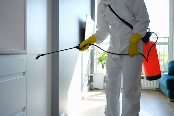 Best Residential Mold Removal  in Kaser, NY