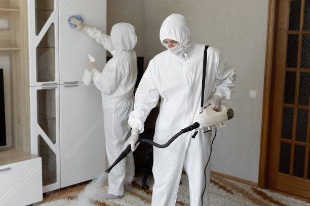 Mold Testing and Removal in Kaser, NY